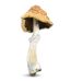 Buy Malabar Magic Mushrooms